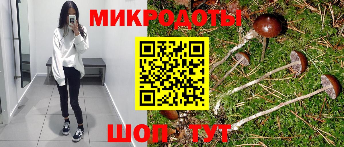 Галлюциногенные грибы ЛСД Ковров