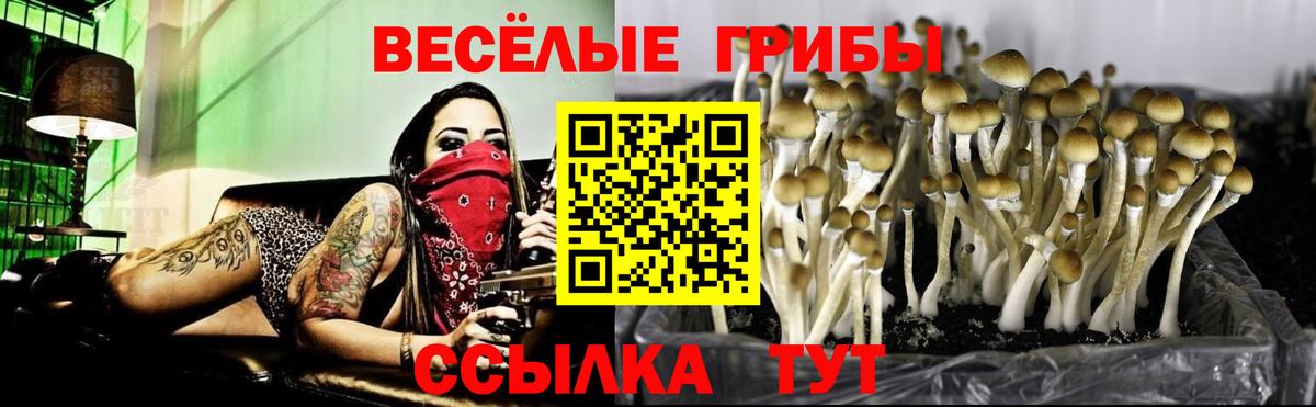 как найти наркотики  Галлюциногенные грибы Magic Shrooms  Ковров  Вход с VPN  Галлюциногенные грибы ЛСД 